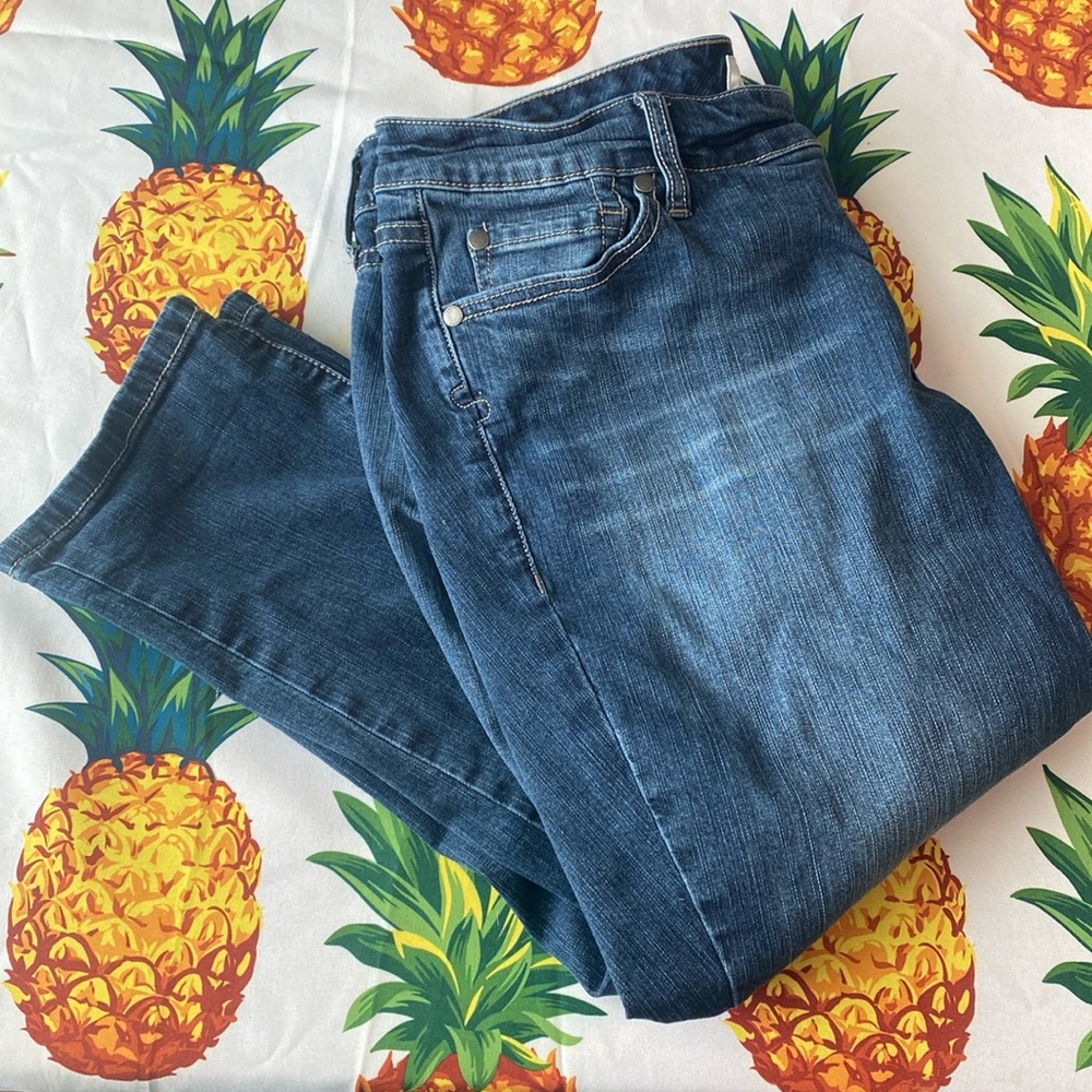 Torrid Skinny Jeans